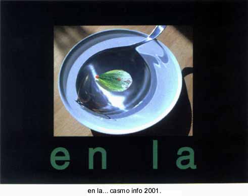 Arte Correo "Moscas en la Sopa"