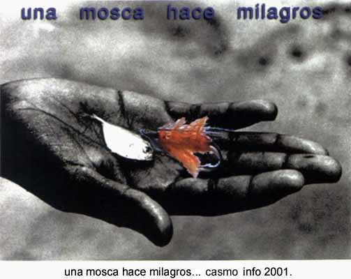 Arte Correo "Moscas en la Sopa"