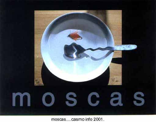 Arte Correo "Moscas en la Sopa"