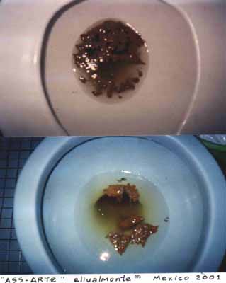 Arte Correo "Moscas en la Sopa"