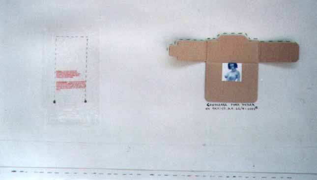 Arte Correo "Moscas en la Sopa"