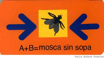 Arte Correo "Moscas en la Sopa"