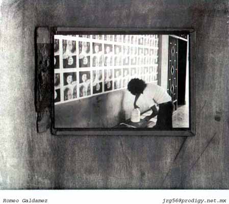 Arte Correo "Moscas en la Sopa"