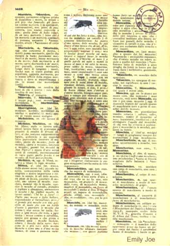 Arte Correo "Moscas en la Sopa"