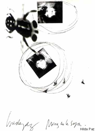 Arte Correo "Moscas en la Sopa"