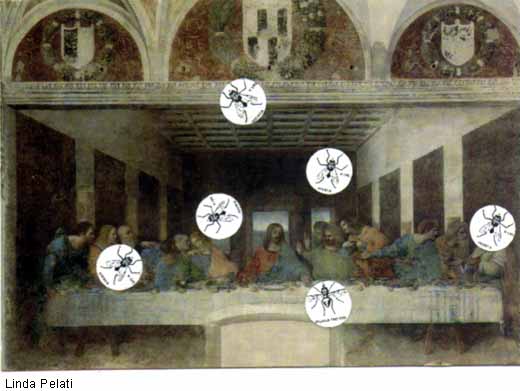 Arte Correo "Moscas en la Sopa"