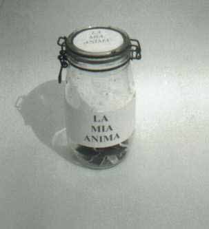 Arte Correo "Moscas en la Sopa"