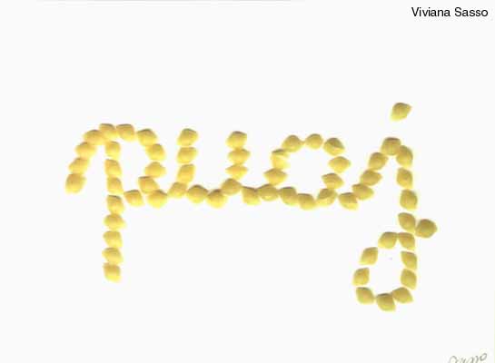 Arte Correo "Moscas en la Sopa"